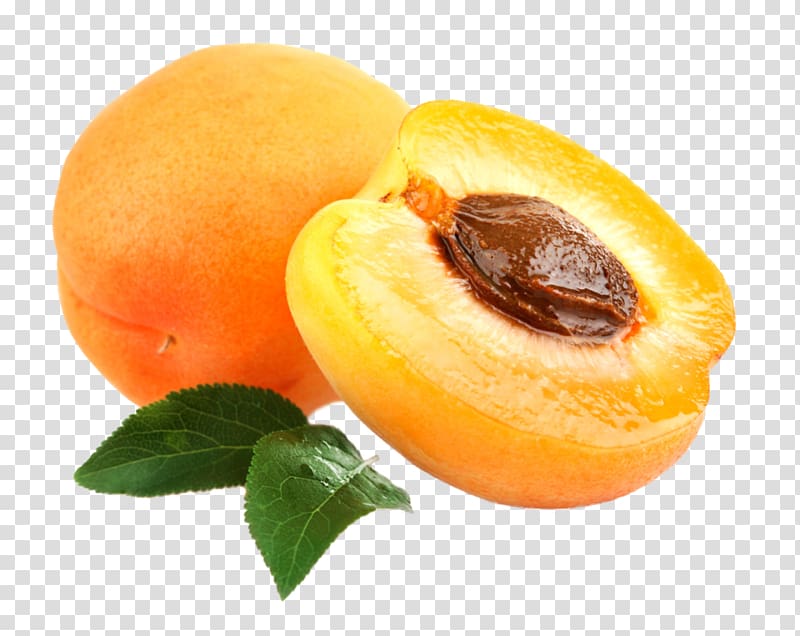 Amygdalin Apricot kernel Cancer Apricot oil, apricot transparent background PNG clipart