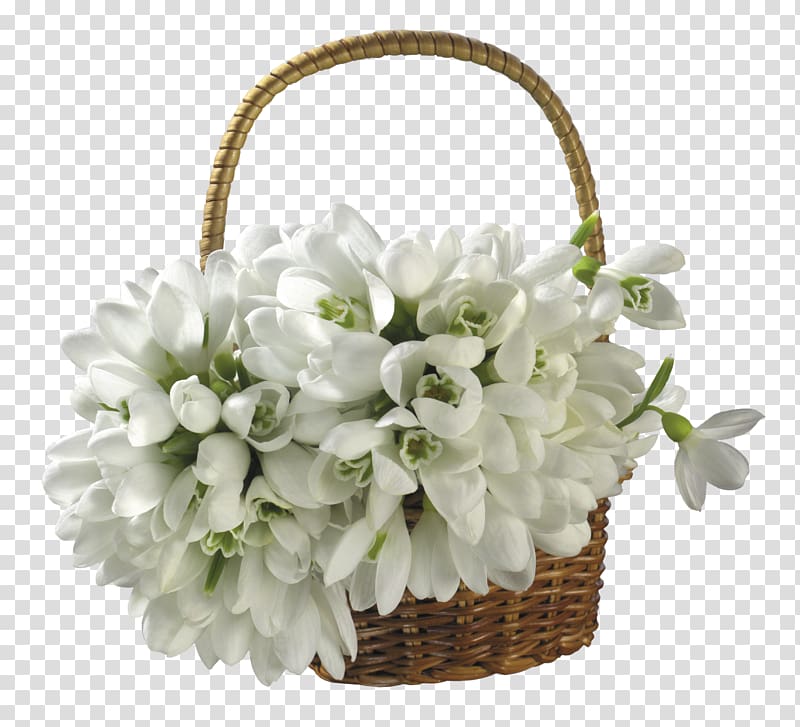 Portable Network Graphics Cut flowers Basket, flower transparent background PNG clipart