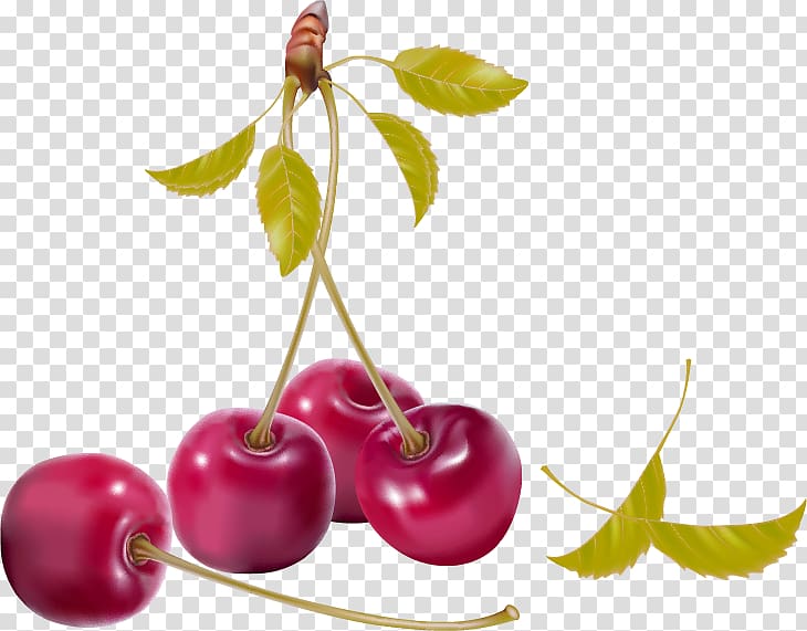 Berry Cherry , Red simple cherry fruit products in kind transparent background PNG clipart