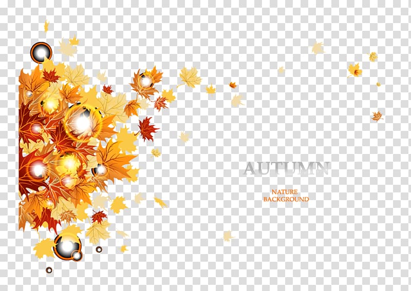 Autumn, Creative autumn plant material transparent background PNG clipart
