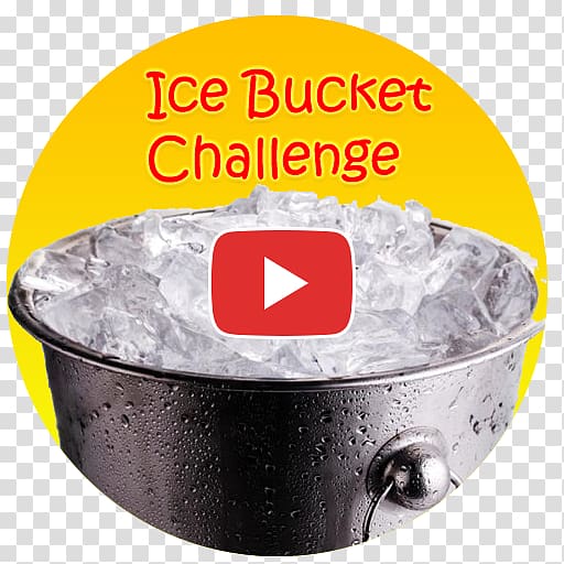 Illustration Ice Bucket Challenge, pets ice bucket challenge transparent background PNG clipart