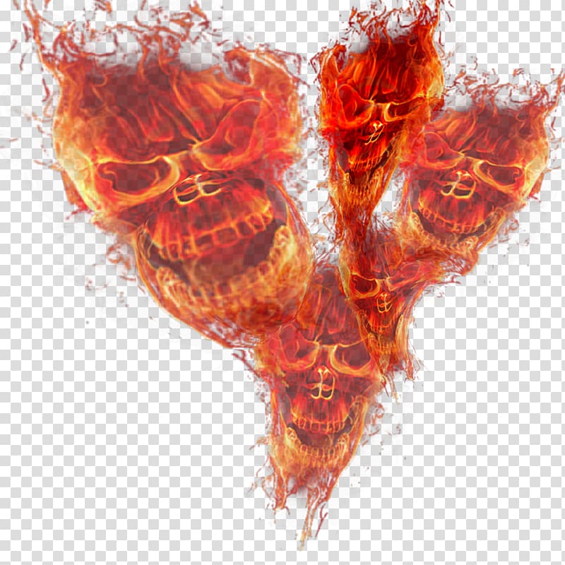 Fire Flame Skull Light, flame skull transparent background PNG clipart