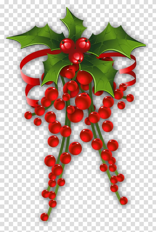 Mistletoe Christmas Phoradendron tomentosum Candy cane , gui transparent background PNG clipart