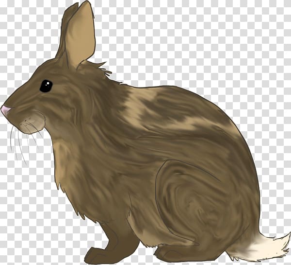 Hare Domestic rabbit Animal Mammal, rabbit no button transparent background PNG clipart