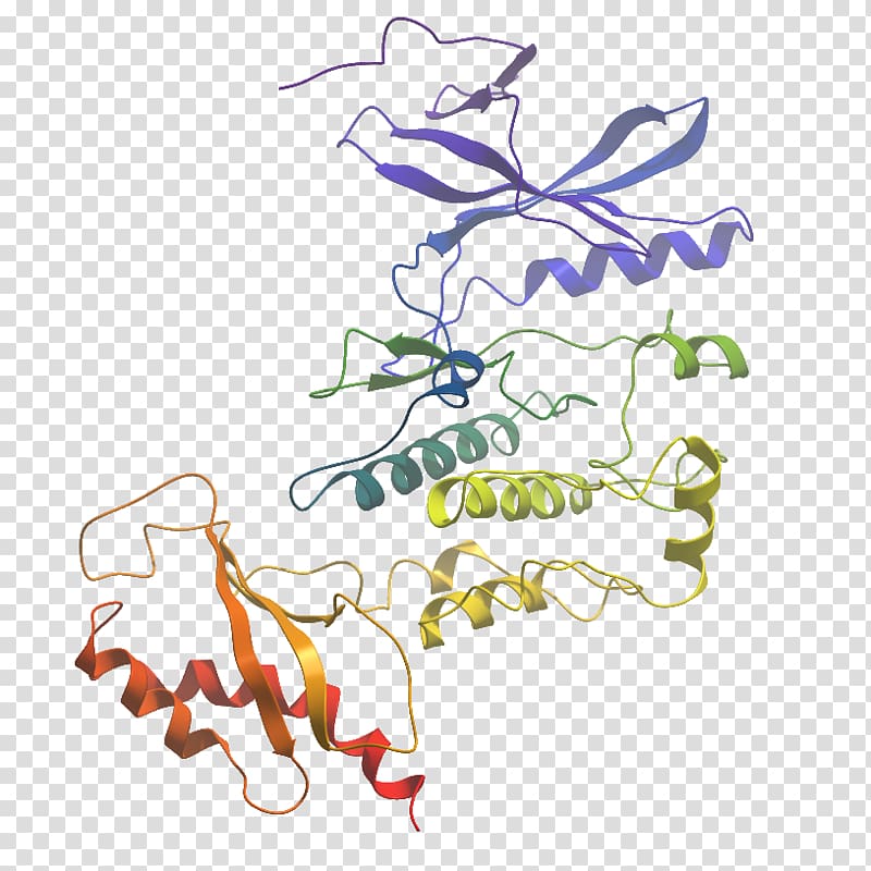 Illustration Graphic design WNK lysine deficient protein kinase 3, transparent background PNG clipart