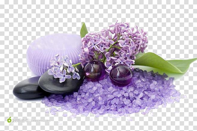 purple pentas flowers illustration, Lotion Cream Skin Moisturizer Cosmetics, plant transparent background PNG clipart