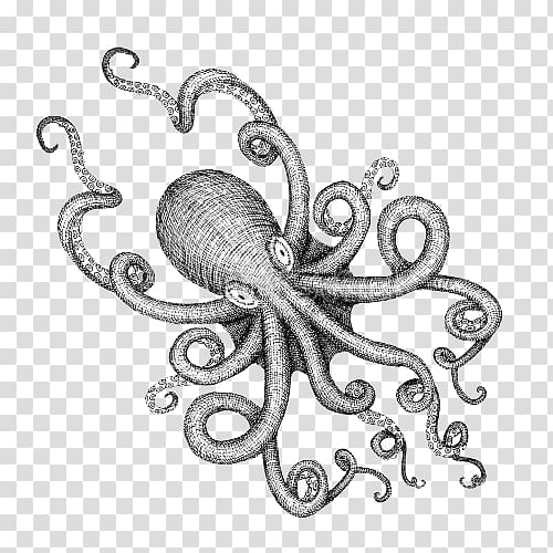 gray octopus , Octopus Drawing Sea monster Illustration, Black and white Octopus monster cartoon illustrations transparent background PNG clipart