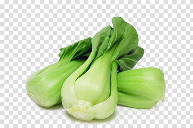 Chinese broccoli Napa cabbage Vegetable Bok choy, Fresh cabbage transparent background PNG clipart