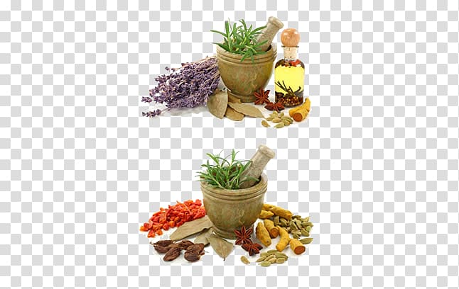 assorted spices near mortart and pestle, Ayurveda Medicine Alternative Health Services Vata, Spices and garlic mortar HQ transparent background PNG clipart