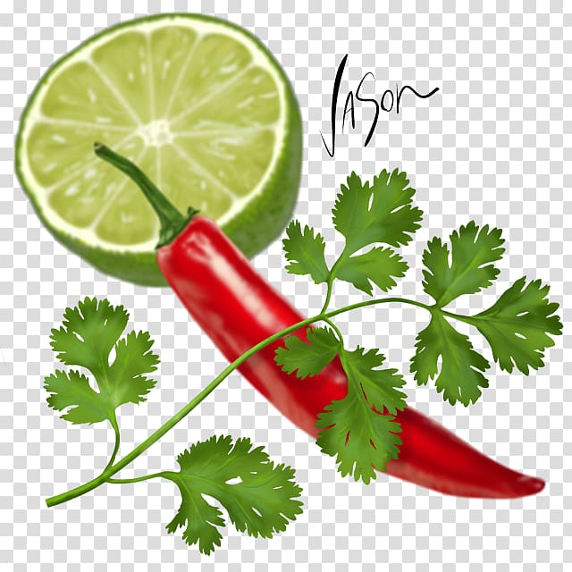 Coriander Parsley Middle Eastern cuisine Chili con carne Pesto, vegetable transparent background PNG clipart