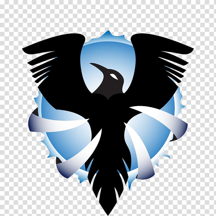 MechWarrior Online Baltimore Ravens Logo Computer Icons, Raven Logo transparent background PNG clipart