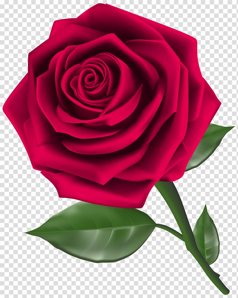 Rose Flower Red , 3D Roses transparent background PNG clipart
