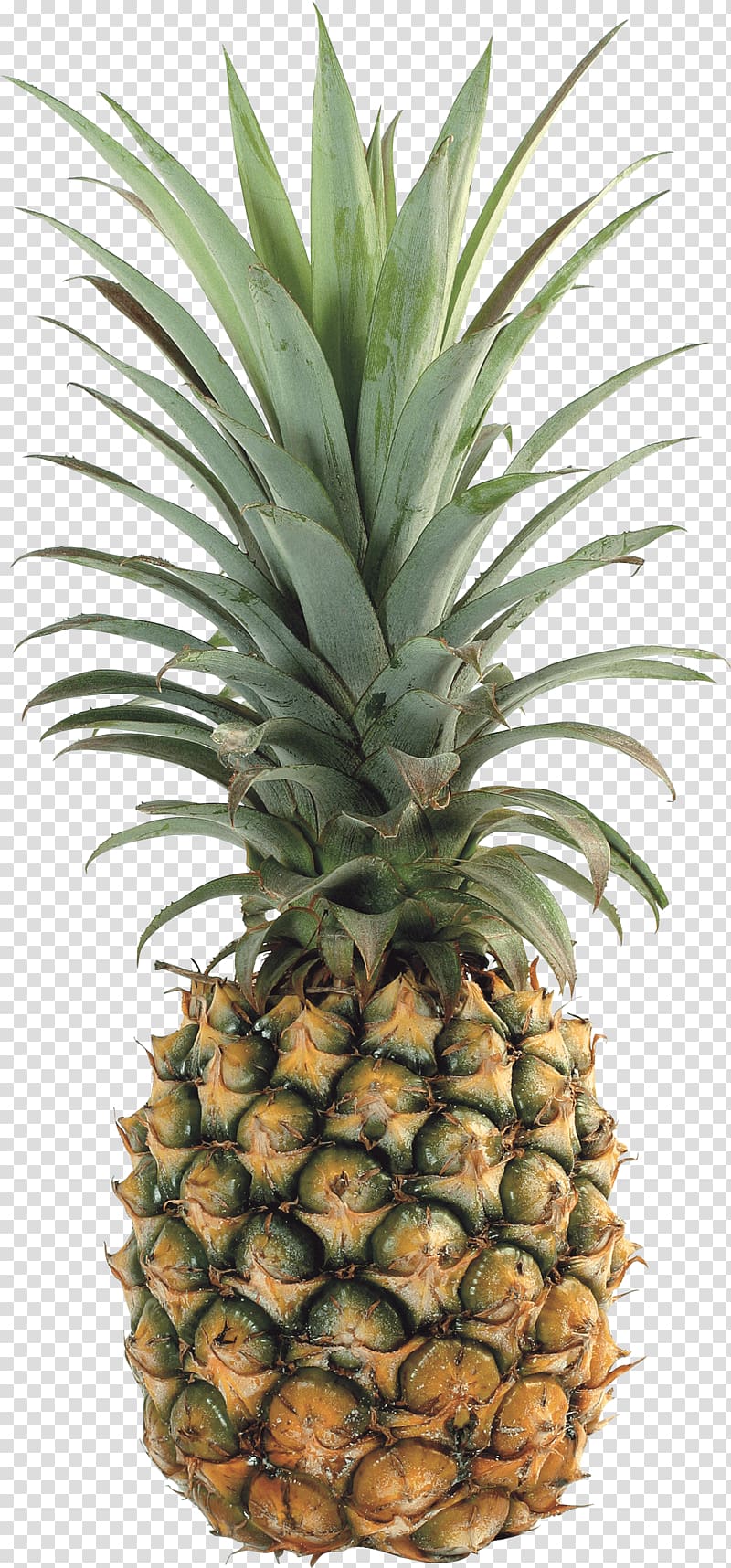 Upside-down cake Pineapple Tropical fruit, Pineapple transparent background PNG clipart