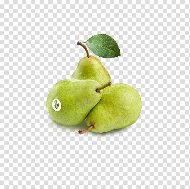 European pear Fruit Apple Greengrocer, pera transparent background PNG clipart