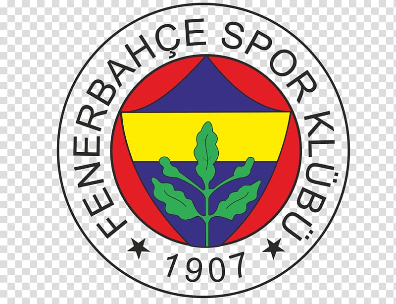 Fenerbahçe S.K. Fenerbahçe Men's Volleyball Şükrü Saracoğlu Stadium Sports Association, football transparent background PNG clipart
