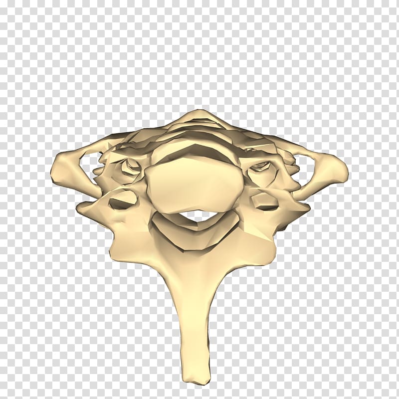 01504 Gold, vertebra transparent background PNG clipart