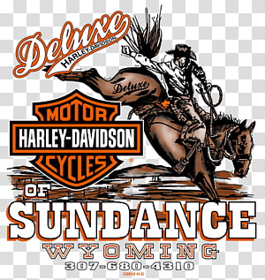 deluxe harley davidson sundance