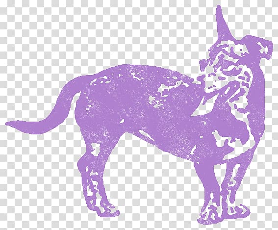 Cat Dog breed Non-sporting group Horse, DOBERMAN PINSCHER transparent background PNG clipart
