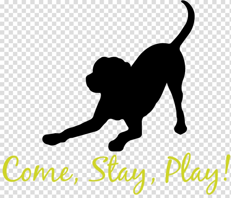 Cat Dog breed Pet sitting Dog daycare, cat transparent background PNG clipart