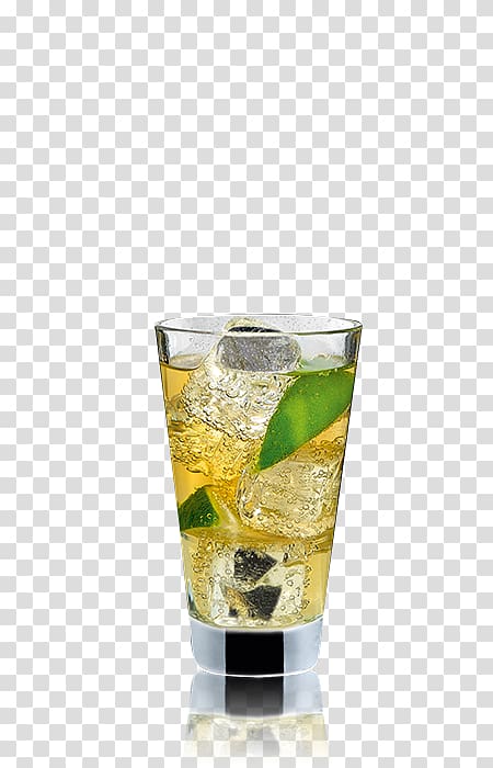 Rum and Coke Tonic water Gin and tonic Highball Sea Breeze, mint gin tonic transparent background PNG clipart