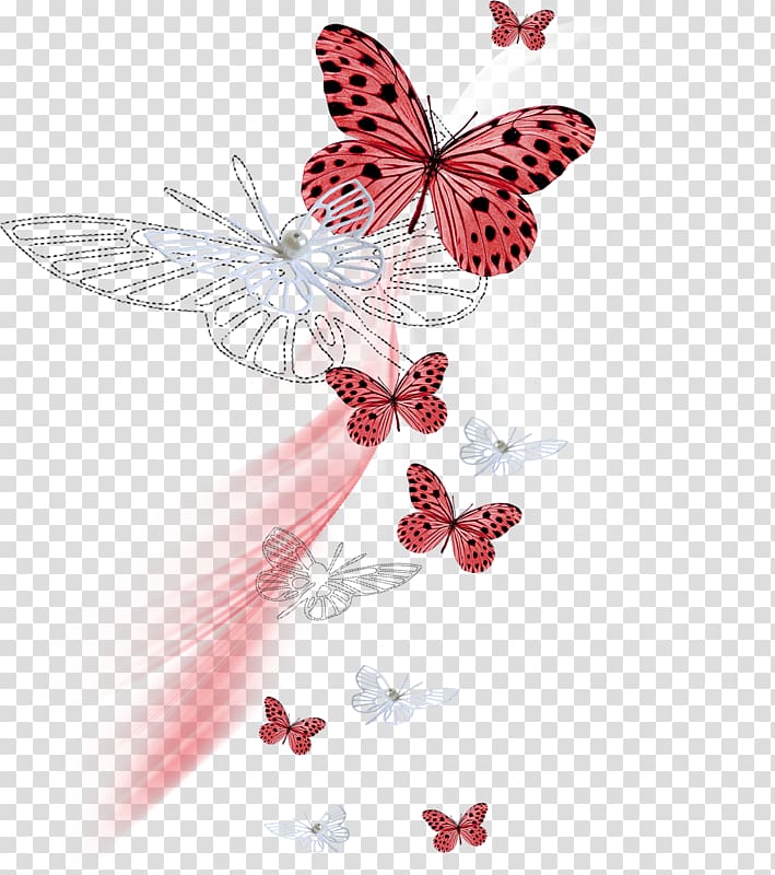 Pine Butterflies and moths Color, papillon transparent background PNG clipart