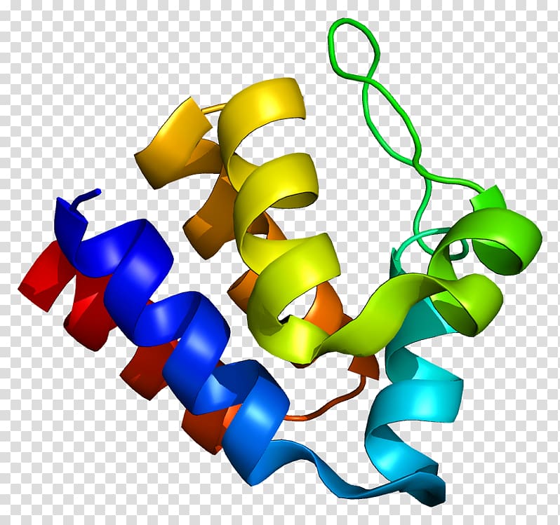 PYCARD Signal transducing adaptor protein CARD domain Pyrin domain, others transparent background PNG clipart