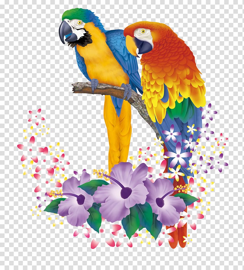 two parrots illustration, Cartoon Animation, Hand-painted parrot pattern transparent background PNG clipart