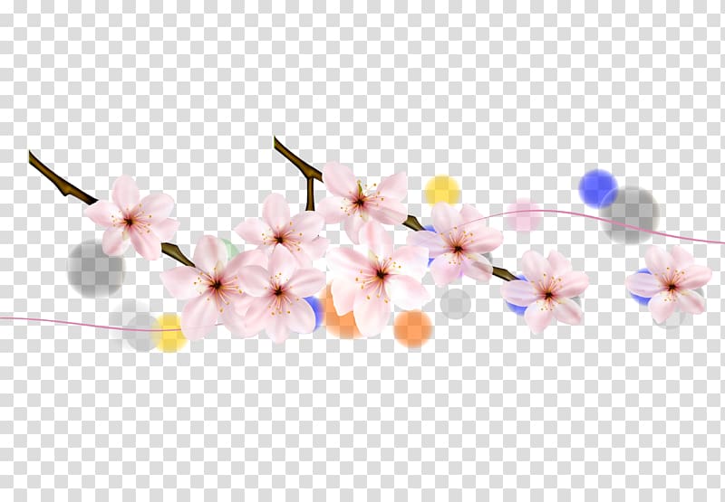 Cherry blossom Petal Flower, Sakura cherry petals and foliage transparent background PNG clipart
