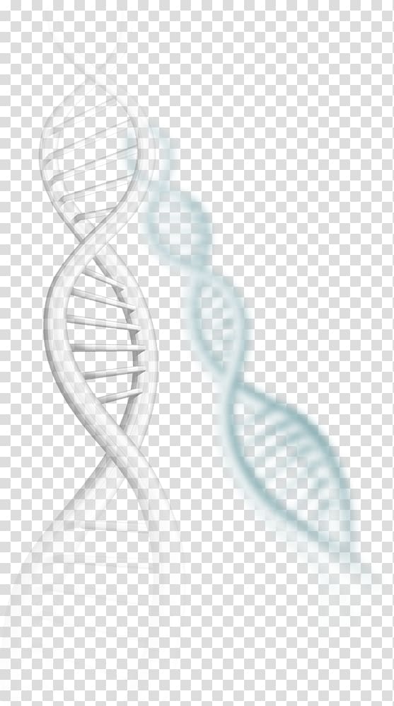 Line Neck, bactericidal mycoplasma transparent background PNG clipart