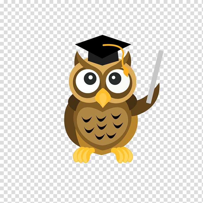 Professional Education Bar Training Course, owl graduation transparent background PNG clipart