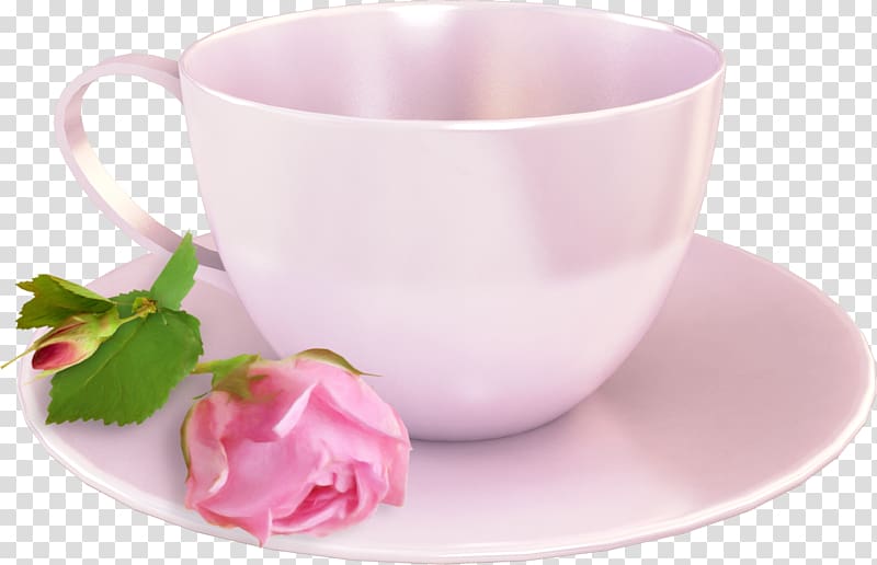 , cup transparent background PNG clipart