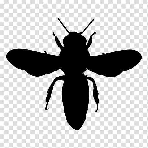 Download European dark bee Silhouette Honey bee Bumblebee, bees ...