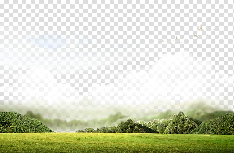 cloudy sky during daytime, u4e0au6d77u7b7eu8bc1u7f51 u4e0au6d77u6709u9650u516cu53f8 Gratis Information, Grass field transparent background PNG clipart