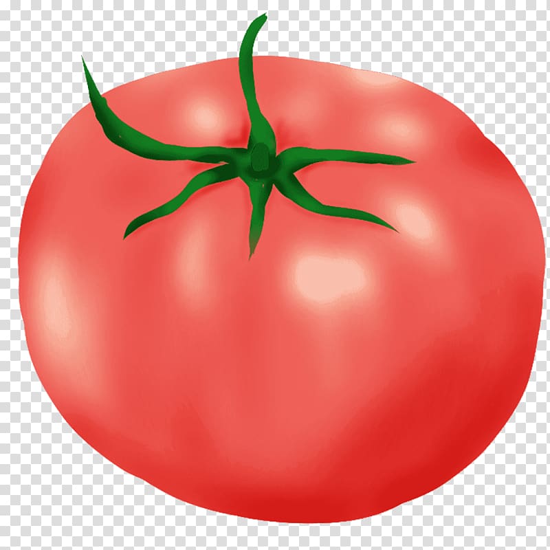 Plum tomato Bush tomato Budi daya, tomato transparent background PNG clipart