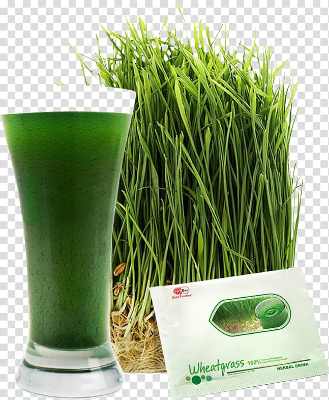 Wheatgrass Health shake Juice Dietary supplement, juice transparent background PNG clipart