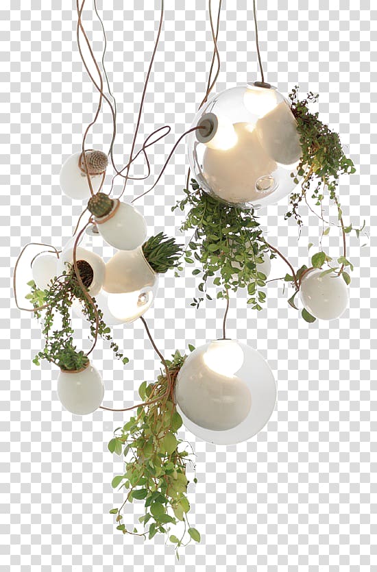 hanging green plants transparent background PNG clipart
