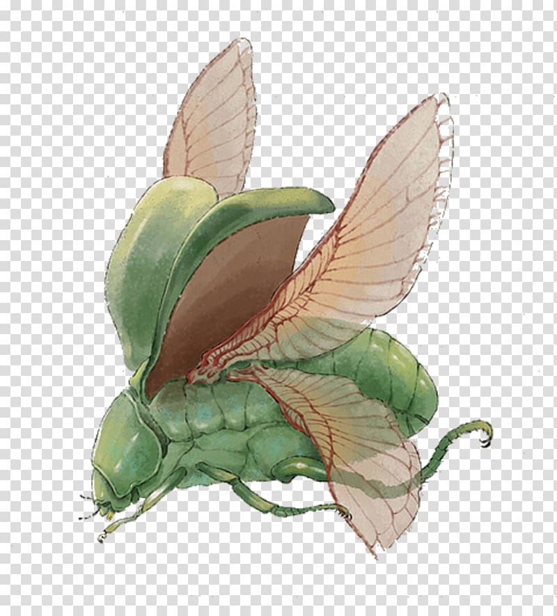 Insect Butterfly Bombycidae Illustration, Green insect transparent background PNG clipart