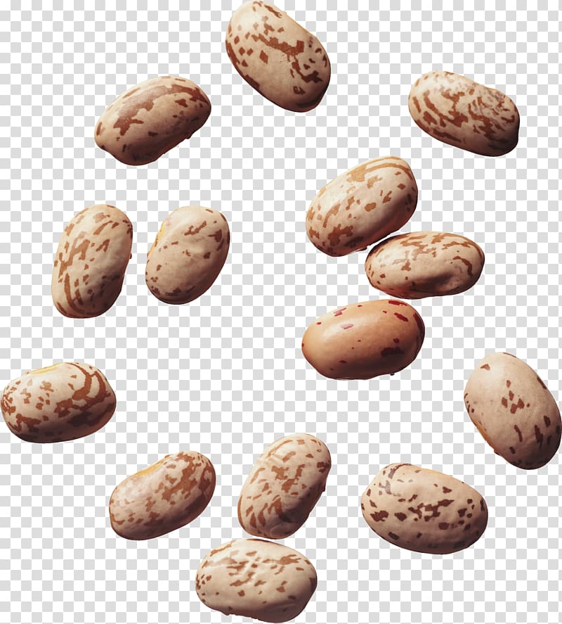 brown-and-white stones illustration, Refried beans Food Pinto bean Recipe, black beans transparent background PNG clipart