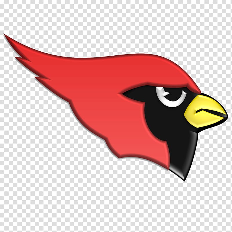 Harlingen High School St. Louis Cardinals Arizona Cardinals Cardinal High School, cardinal transparent background PNG clipart