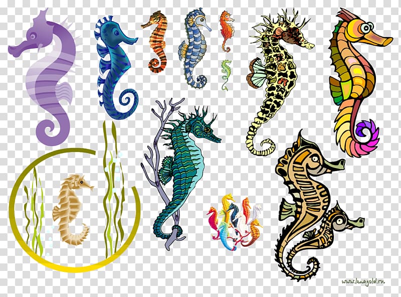 Seahorse Syngnathiformes Ornamental fish, seahorse transparent background PNG clipart