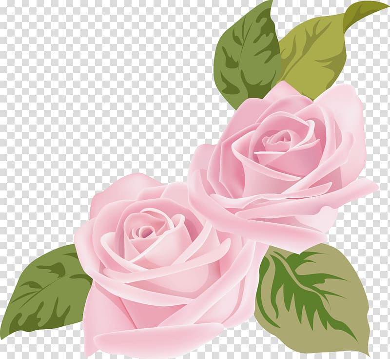 Pink Flower , Pink roses transparent background PNG clipart