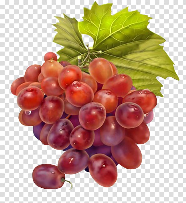 Grape juice Wine Grapevines, grape transparent background PNG clipart