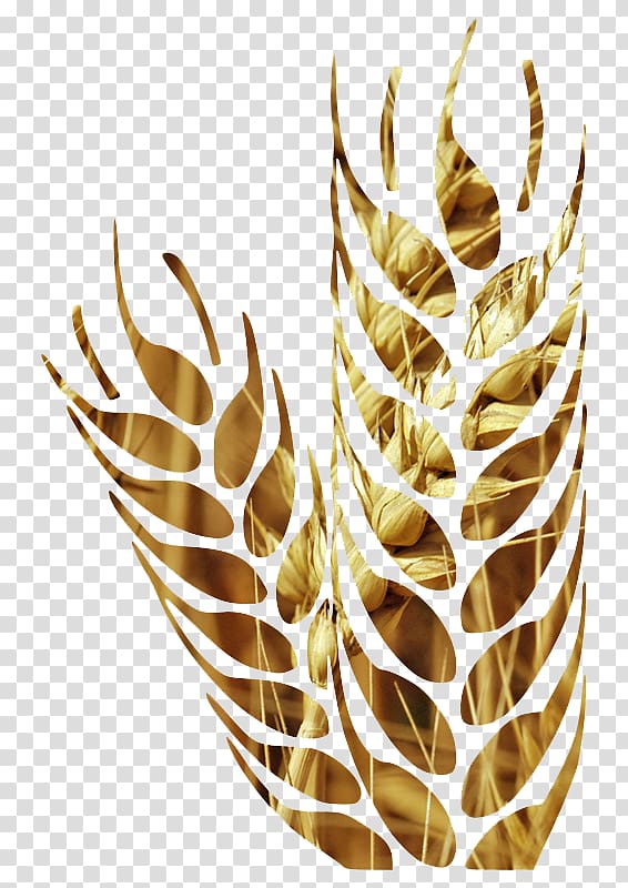 Cereal Wheat Euclidean Agriculture, Wheat farmland transparent background PNG clipart