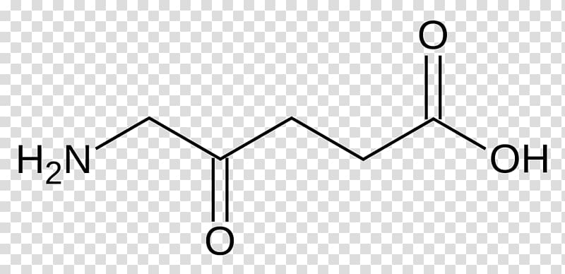 5-Aminolevulinic acid Amino acid gamma-Aminobutyric acid Dicarboxylic acid, amino acid transparent background PNG clipart