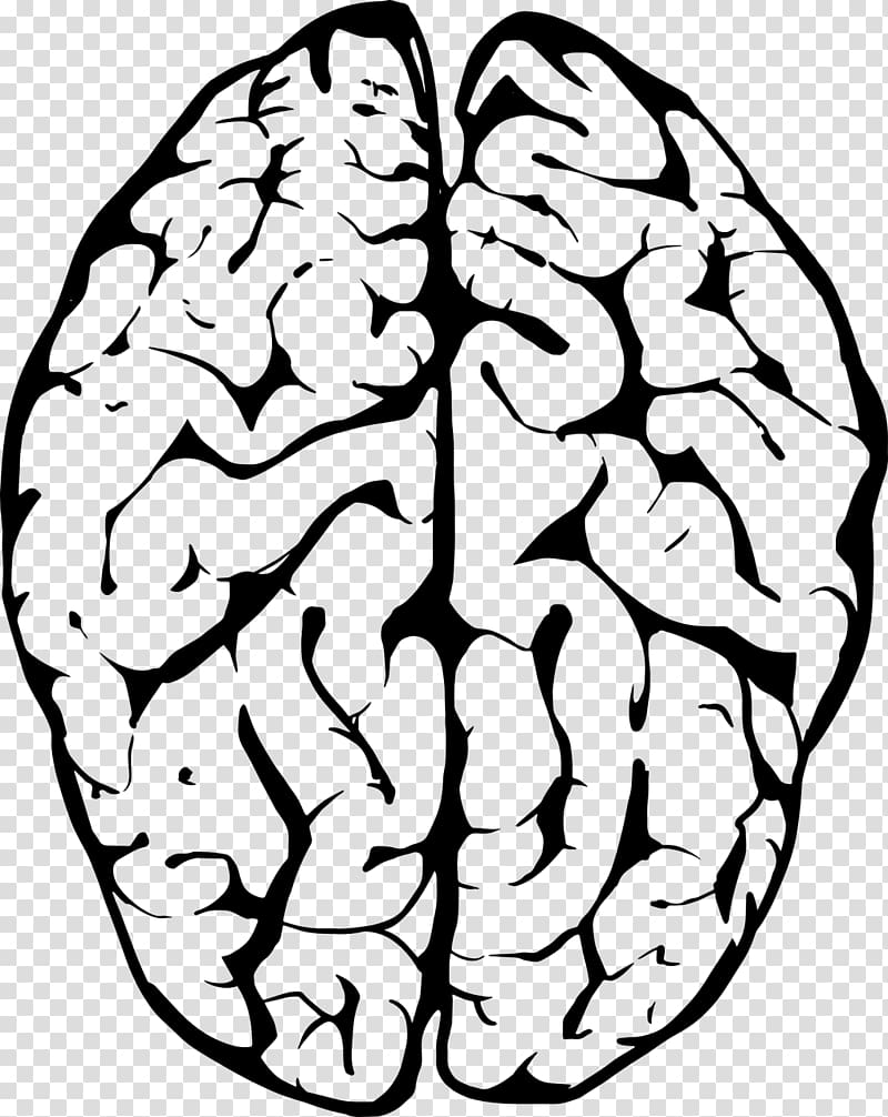 Skills Development Mind Games Free mind games Brain Cognitive training, crackdown transparent background PNG clipart