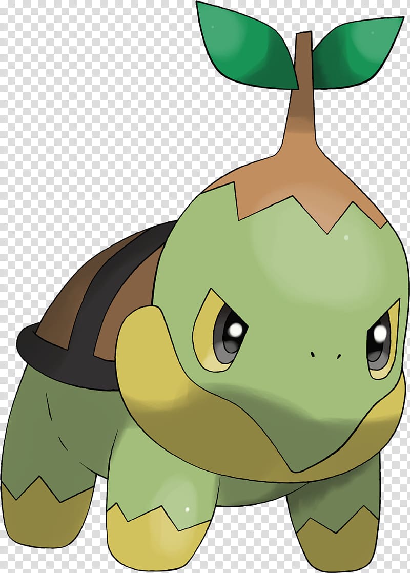 Tortoise Turtwig Drawing Grotle , pokemon transparent background PNG clipart