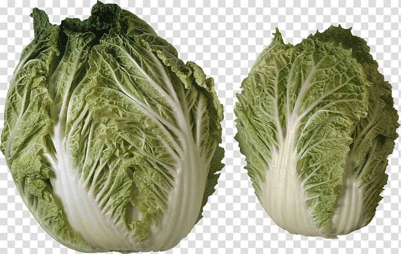 Israeli salad Vegetable Cabbage, Salad transparent background PNG clipart