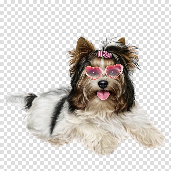 Yorkshire Terrier Puppy Desktop , puppy transparent background PNG clipart