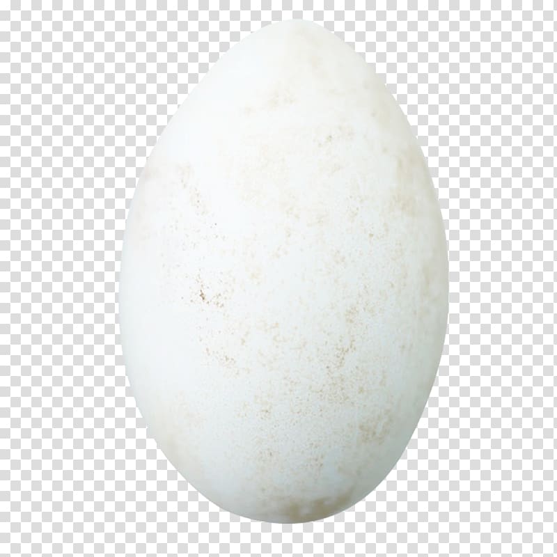 Domestic goose Duck Egg, A goose egg transparent background PNG clipart