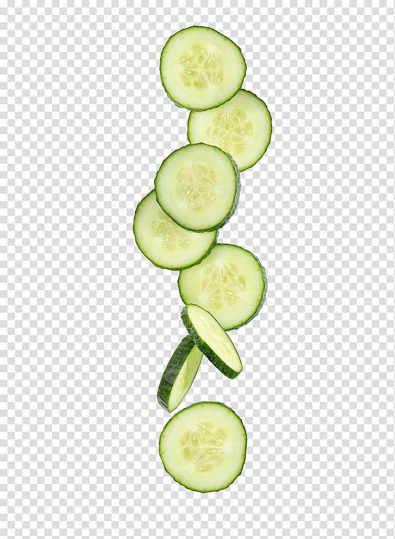 cucumber slices transparent background PNG clipart